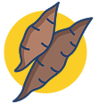 Cassava