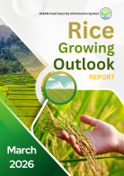 Rice Growing Outlook Report March 2026