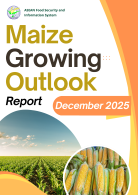 Maize Growing Outlook Report December 2025