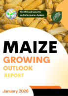 Maize Growing Outlook Report January 2026