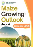 Maize Growing Outlook Report October 2025