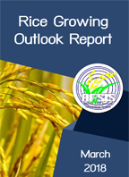 Rice Growing Outlook Report March 2018