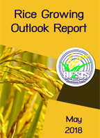 Rice Growing Outlook Report May 2018