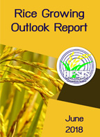 Rice Growing Outlook Report June 2018