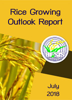Rice Growing Outlook Report July 2018