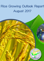 Rice Growing Outlook Report August 2017