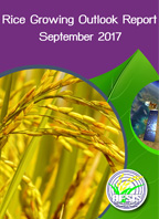 Rice Growing Outlook Report September 2017