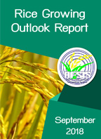 Rice Growing Outlook Report September 2018