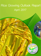 Rice Growing Outlook Report April 2017